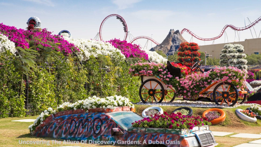 Uncovering The Allure Of Discovery Gardens: A Dubai Oasis